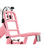 2Cycle Roze Panter 16 inch (4 tot 6 jaar) voor meisjes roze
