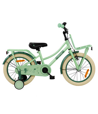 2Cycle 2Cycle Omafiets 16 inch (4 tot 6 jaar) voor meisjes mintgroen