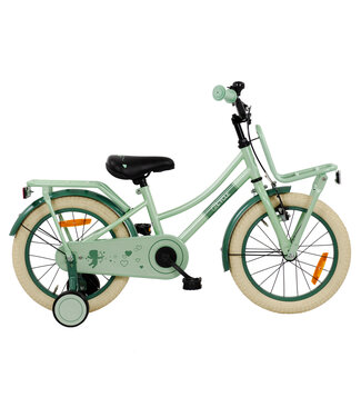 2Cycle 2Cycle Cupido 16 inch (4 tot 6 jaar) voor meisjes mintgroen
