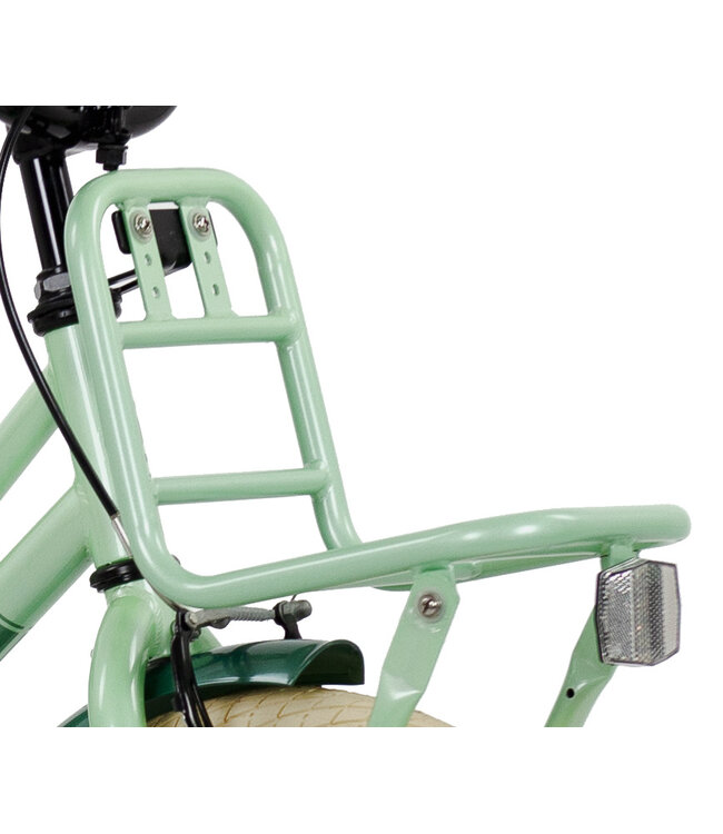 2Cycle Cupido 16 inch (4 tot 6 jaar) voor meisjes mintgroen