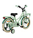 2Cycle Cupido 16 inch (4 tot 6 jaar) voor meisjes mintgroen