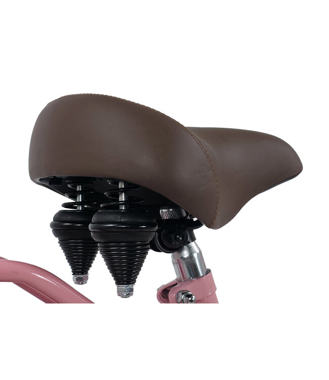 2Cycle Transportfiets kinderfiets 24 inch (8 tot 10 jaar) voor Meisjes Roze