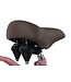 2Cycle Transportfiets kinderfiets 24 inch (8 tot 10 jaar) voor Meisjes Roze