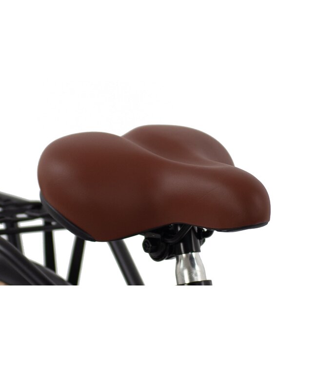 2Cycle Premium Transportfiets 3-Speed kinderfiets 26 inch (10 tot 12 jaar) voor Meisjes Zwart