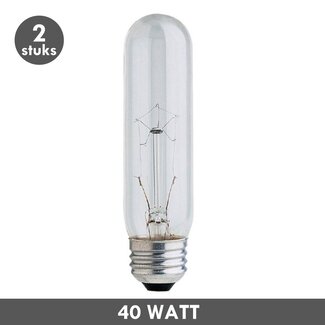 Buislamp 40 Watt helder E27 2x