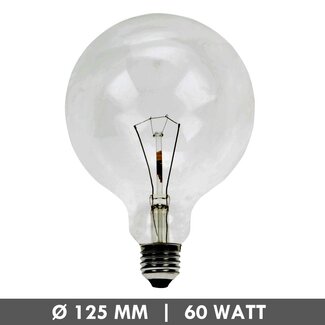Globelamp 60 Watt helder 125mm E27