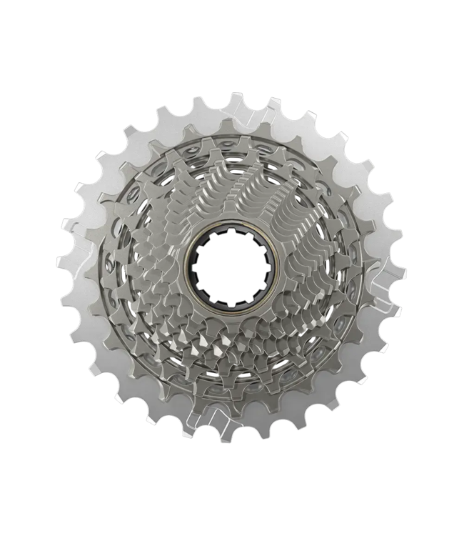 SRAM RED eTap AXS E1 Disc Road 12s Geargruppe