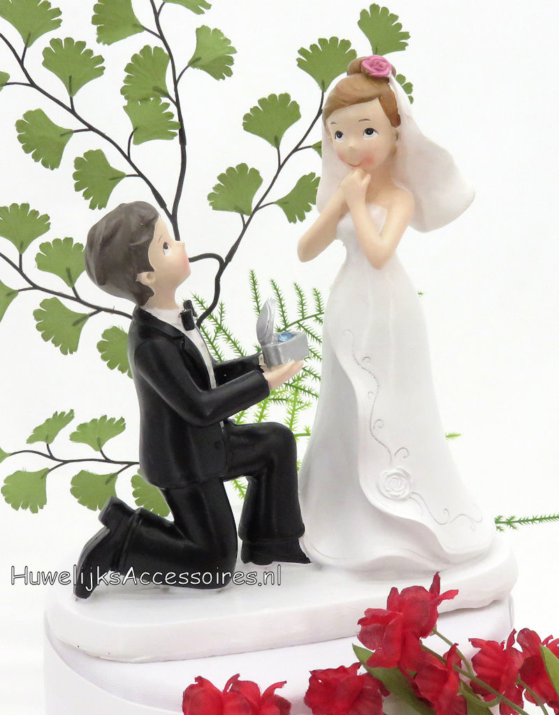 Huwelijksaanzoek bruid en bruidegom taarttopper