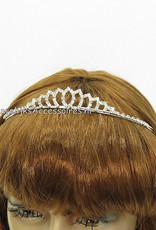 Bruid tiara zilverkleurige met strass steentjes