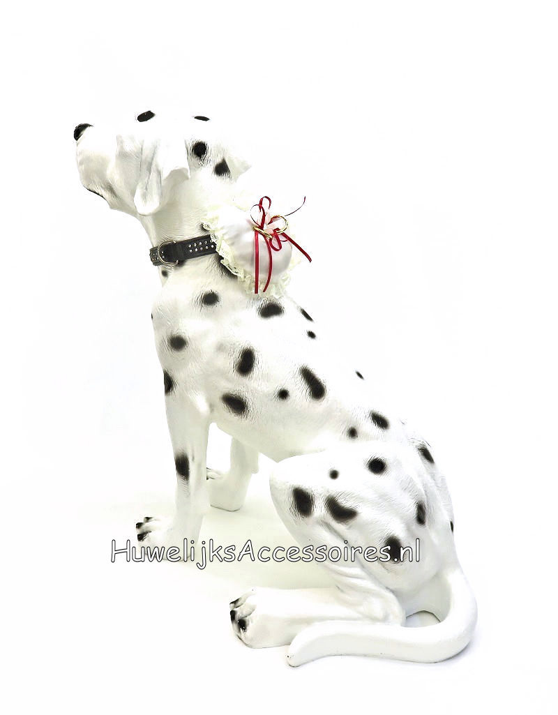 Ringkussentje voor de hond versierd met fuchsia lint en kant