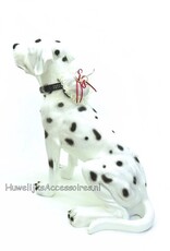 Ringkussen voor de hond versierd met rode lint en kant