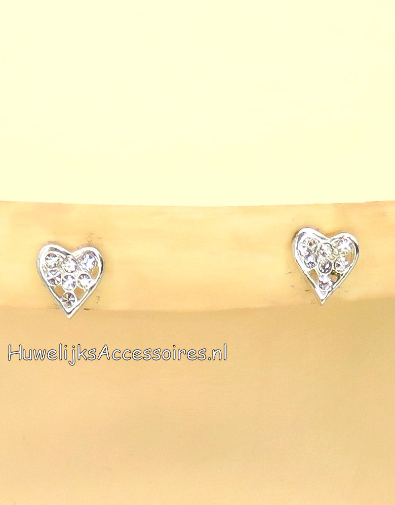 Zilveren halsketting met bijpassende strass stenen hart oorbellen
