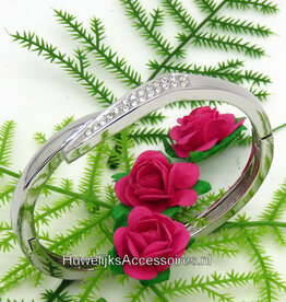 Armband ovale zilver gekleurd