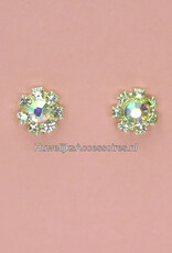 Oorbellen versierd met strass steentjes