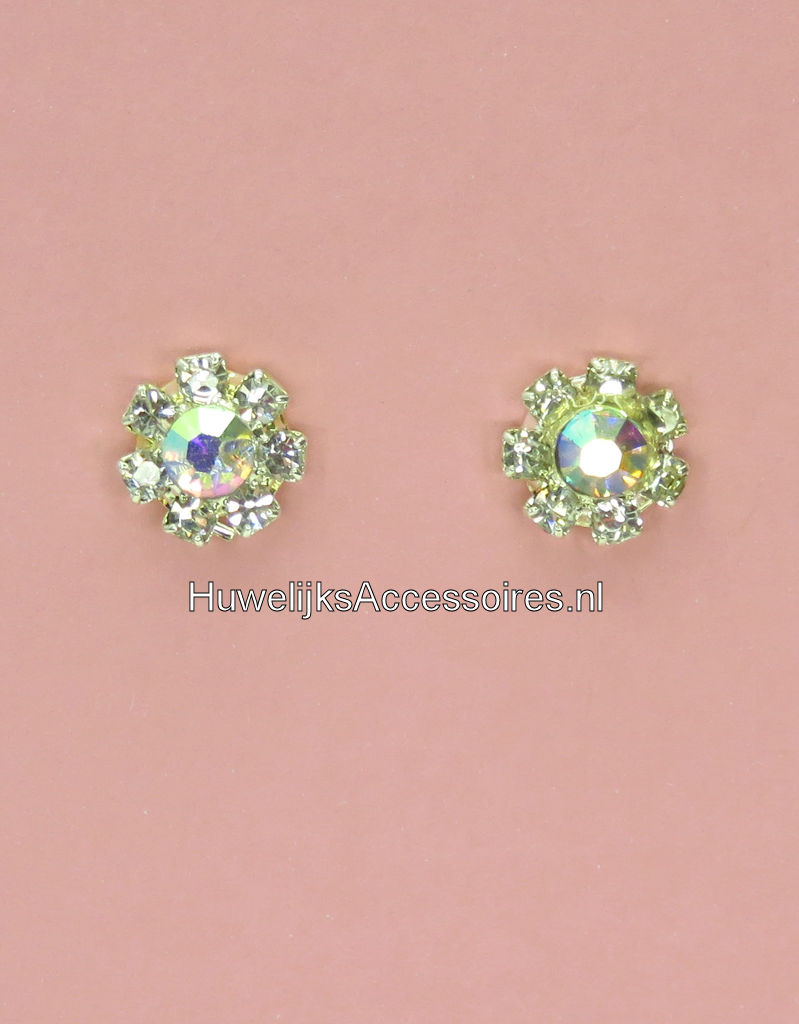 Oorbellen versierd met strass steentjes