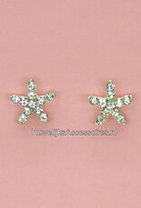 Zilveren oorbellen met strass steentjes