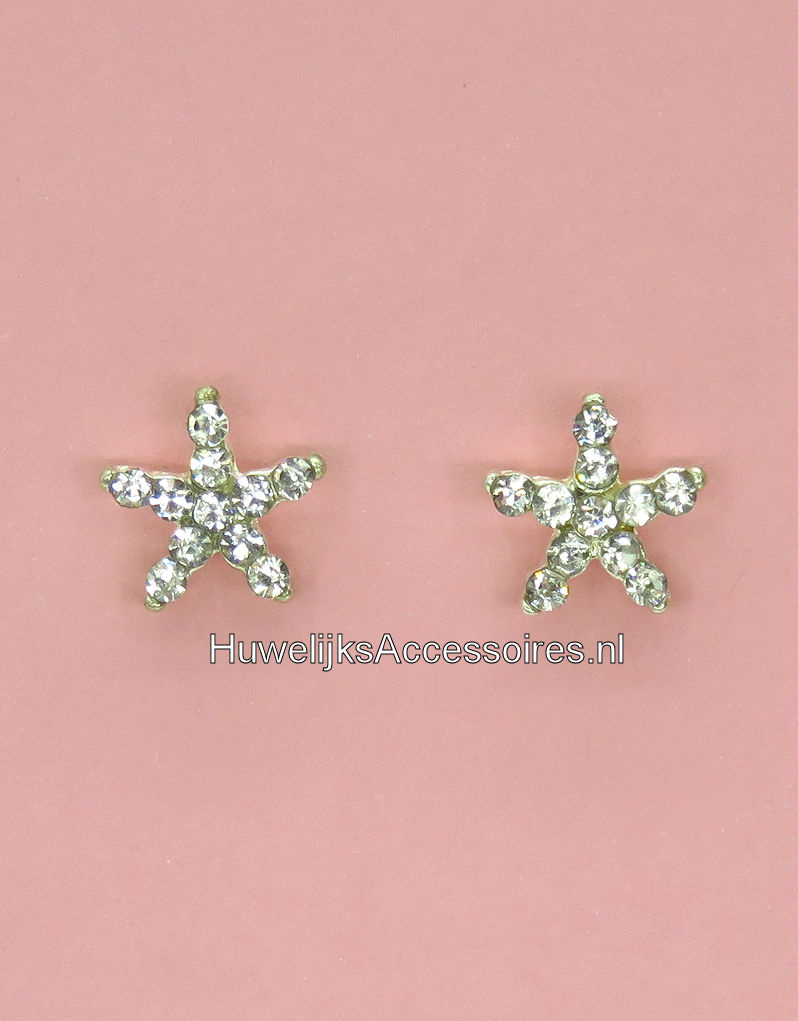 Zilveren oorbellen met strass steentjes