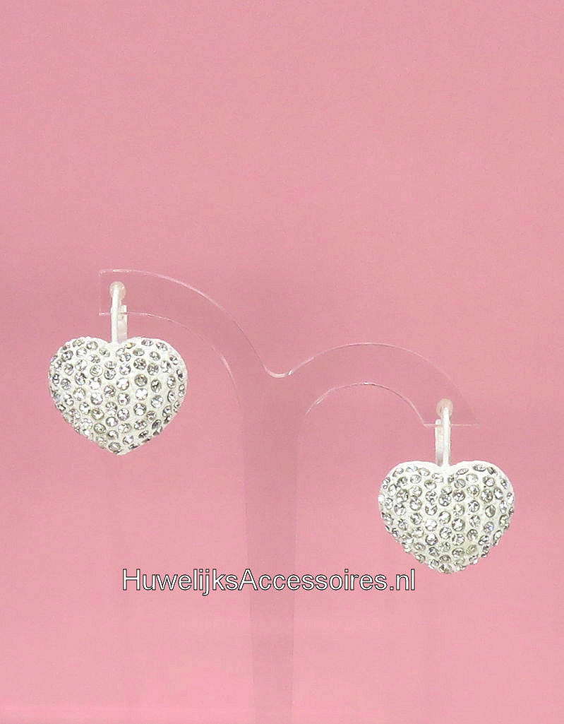 Prachtige wit hart oorbellen met strass stenen 