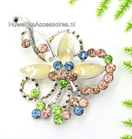 Broche zilver gekleurd