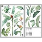 JERMA allerhandestickers Planten bladeren muur-, meubel-, raamsticker set van 18 planten stickers.