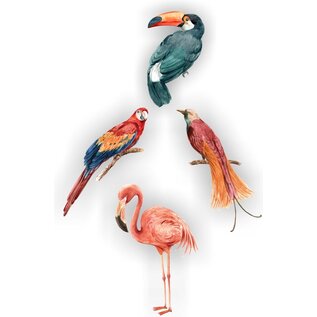 JERMA allerhandestickers Vogelbescherming raamstickers  4 tropische vogels.
