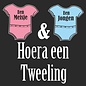 JERMA allerhandestickers Geboorte raamsticker Hoera een tweeling een meisje en een jongen.