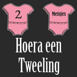 JERMA allerhandestickers Geboorte raamsticker Hoera een tweeling 2 meisjes