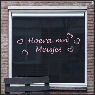 JERMA allerhandestickers Geboorte sticker Hoera een meisje  Rose