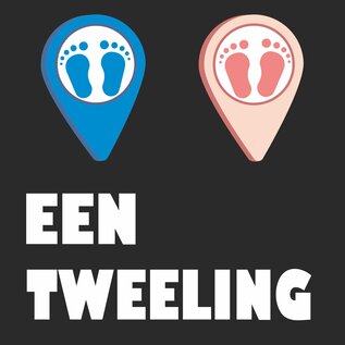 JERMA allerhandestickers Geboorte raamsticker Hoera een Tweeling  Dochter en Zoon