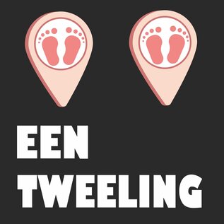 JERMA allerhandestickers Geboorte raamsticker Hoera een Tweeling 2 Meisjes