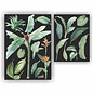 JERMA allerhandestickers Planten bladeren muur-, meubel-, raamsticker set van 18 planten stickers.