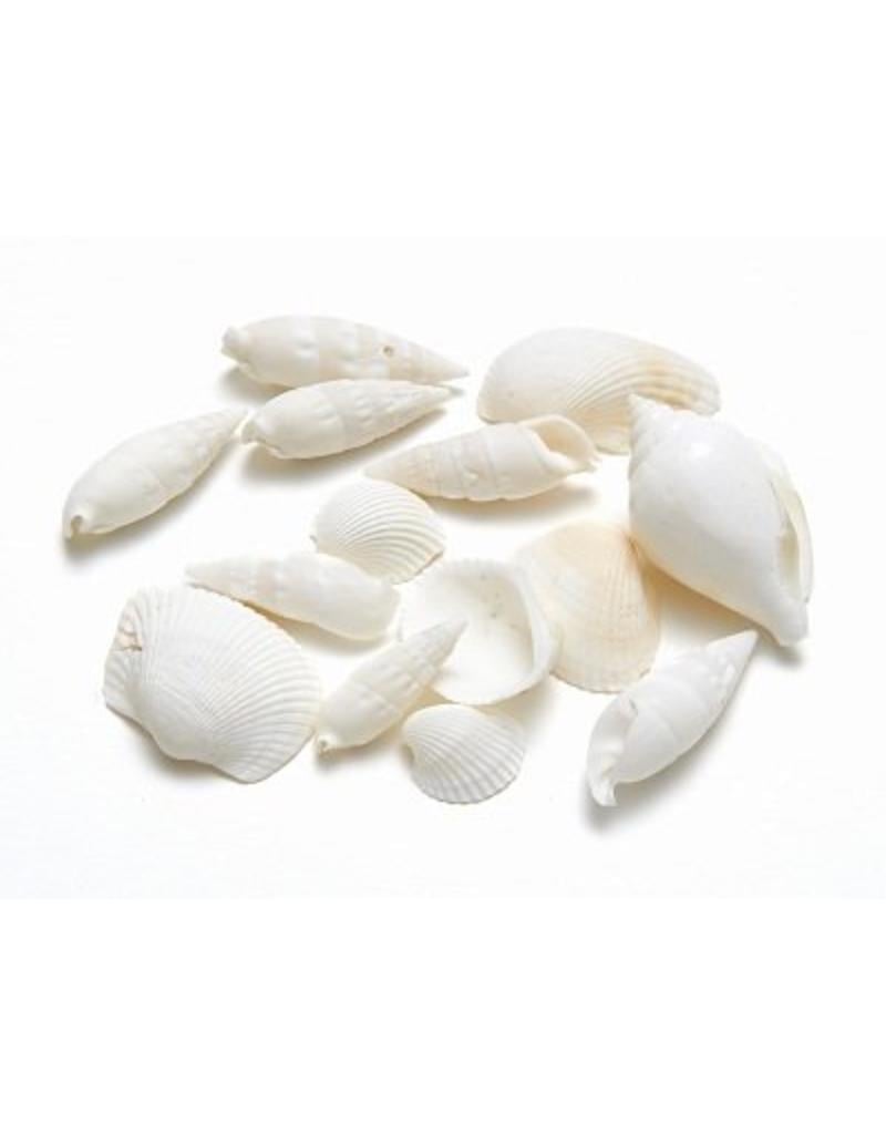 Shell mix white