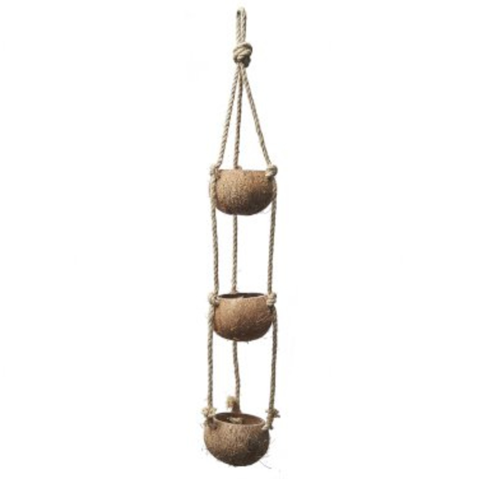 Coconut pendant