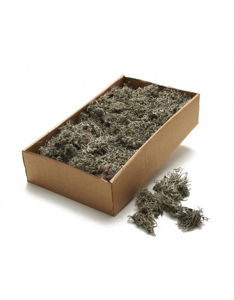 Moss Gray 500 grams