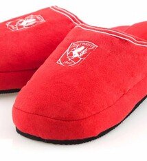 FC Twente Huisslippers