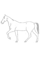 MBT Paarden modelleren - Bouwtekening Schaal 1 : 8 (40.41.004)