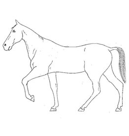 NVM 40.41.004 Pferde Modellierung