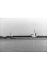 MBT 16.10.024 cargo ship ms "Sertan" (1977) - Van Nievelt Goudriaan/Nigoco