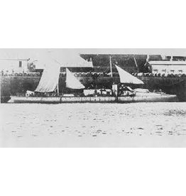 NVM 16.11.035 ZrMs torpedieren "Cerberus" (1888)