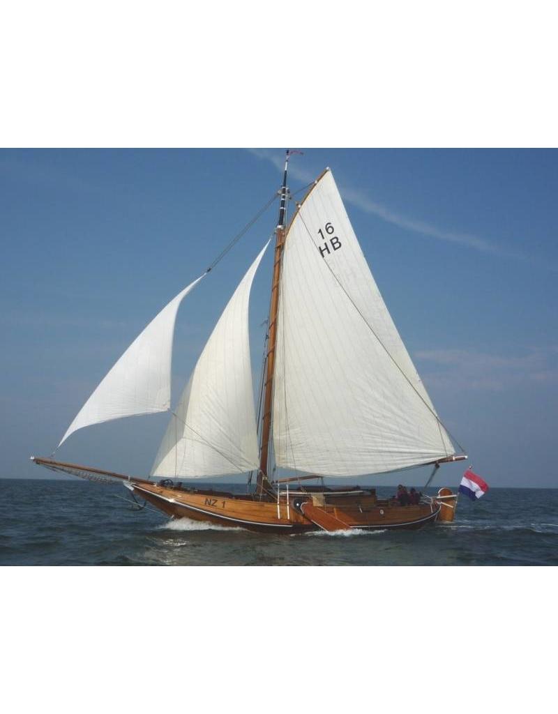 MBT 10.03.005 Tholener Hoogaars TH64 (1907)