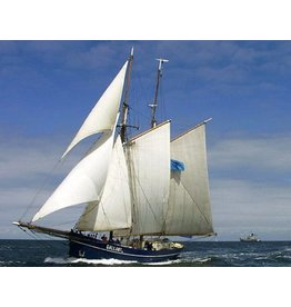 MBT 10.03.027 Noordzee logger
