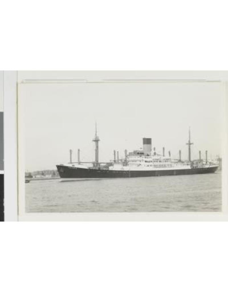 MBT Cargo ship ms "Polydorus" (1952) - Ned. Stoomvaart Mij Oceaan - Construction Drawing Scale 1 : 136 (10.10.126)