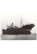 MBT Cargo ship ss "Mirfak" (1918) - v.Nievelt Goudriaan - Construction Drawing Scale 1 : 50 (10.10.130)