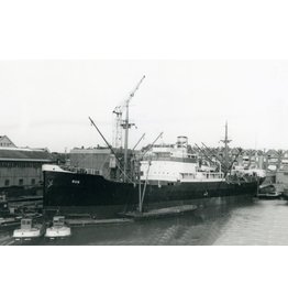 MBT 10.10.137 vrachtschip ms "Rijn" (1916) - Mij.Houtvaart