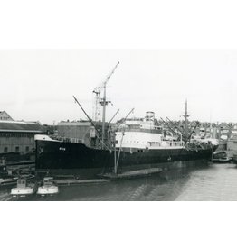 NVM 10.10.137 freighter MV "Rhine" (1916) - Mij.Houtvaart