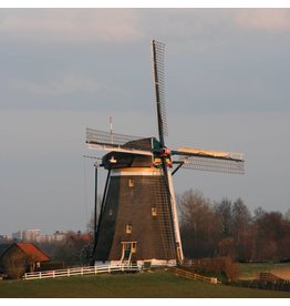 NVM 30.06.009 South Holland octagonal water mill