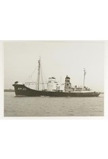 MBT 10.20.115 whale catcher ms "Sonja", "Willem", "" Nicolaas Vinke" - Whaling Co.