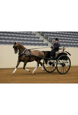 MBT Rustikaler Dogcart - Bauzeichnung Maßstab 1 : 8 (40.30.045)