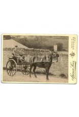 MBT Rustieke dogcart - Bouwtekening Schaal 1 : 8 (40.30.045)