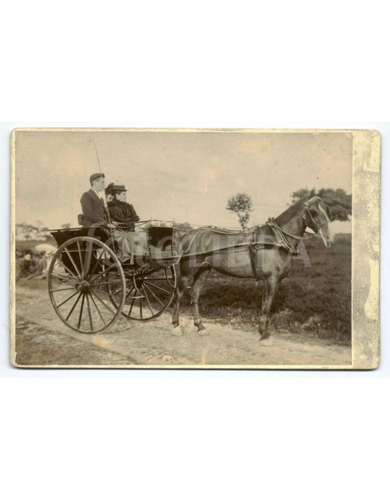 MBT Rustikaler Dogcart - Bauzeichnung Maßstab 1 : 8 (40.30.045)